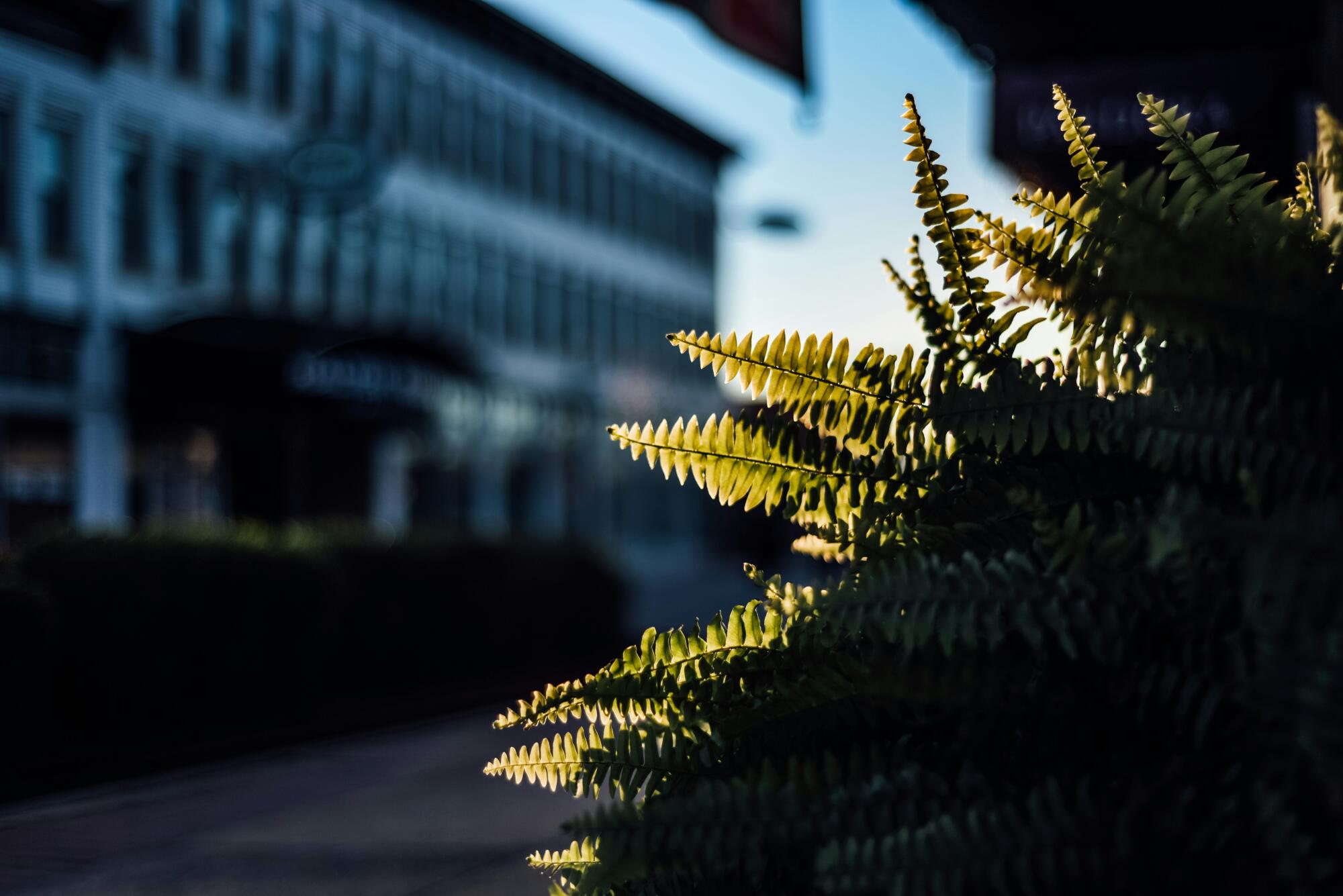 Property Management Blog
